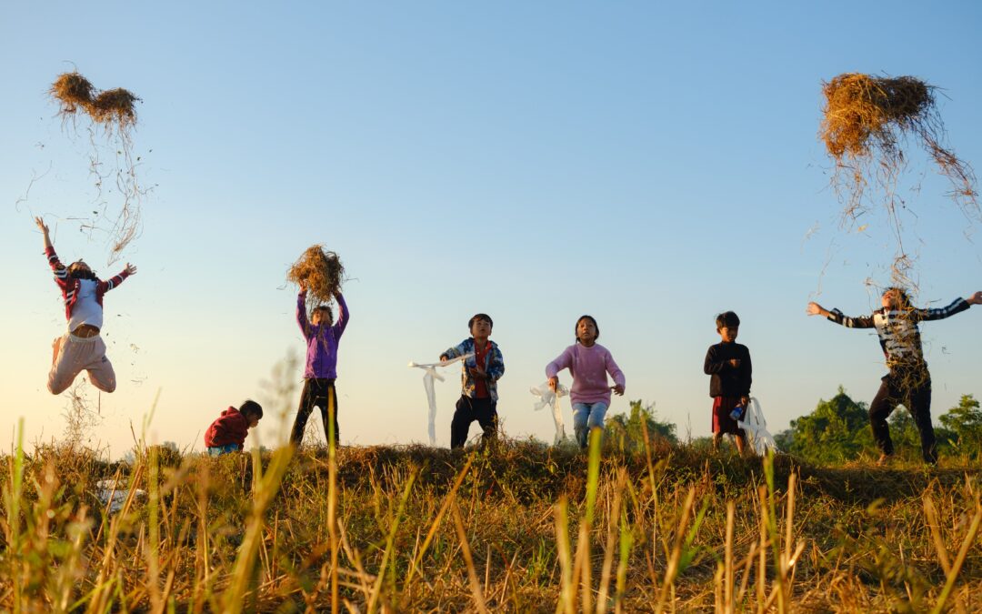 Our Six news article lorm ipsum